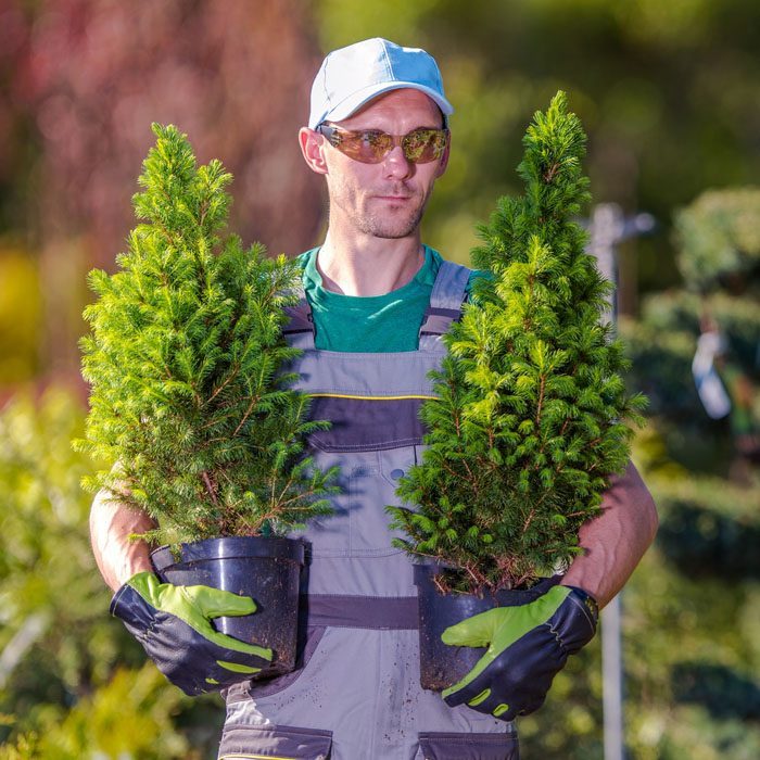 gardener-shopping-time-2021-08-26-23-04-22-utc-1-pig63gwrm9v43ruqi4m7s47anitaywhiposlzq4ggo