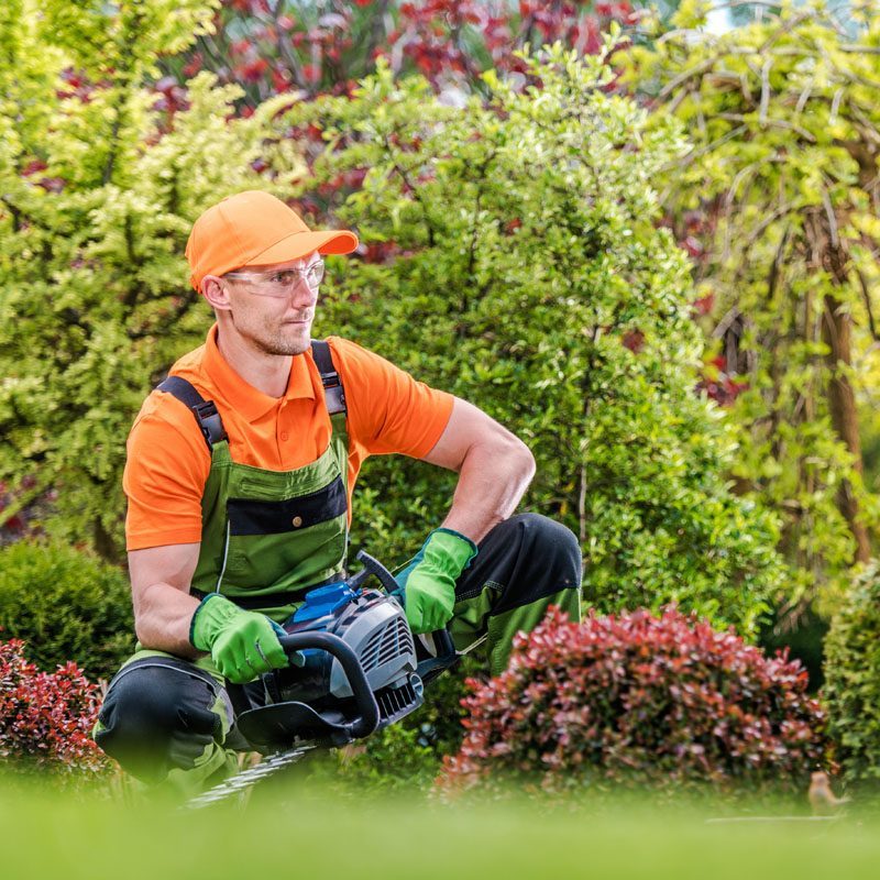 satisfied-gardener-in-a-garden-2021-08-26-23-04-56-utc-4-piazci1b2tf02hi0c0191ponlvoldjzblvkog4tc8w